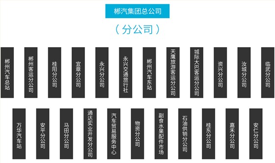 郴汽集团总公司分公司